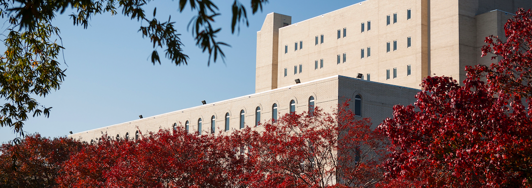 Brody Bldg banner photo